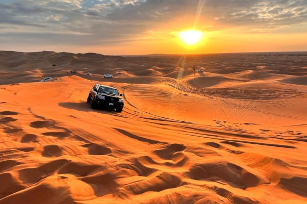 Evening Desert Safari: Red Sand Dune Bashing, Sandboarding, Camel, Entertainment & Dinner