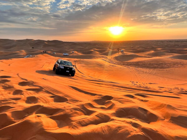 Evening Desert Safari: Red Sand Dune Bashing, Sandboarding, Camel, Entertainment & Dinner